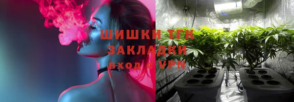 мяу мяу мука Арсеньев