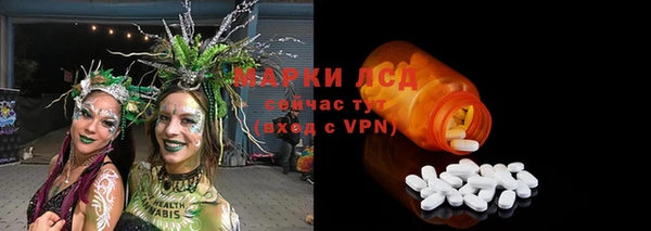 мяу мяу мука Арсеньев