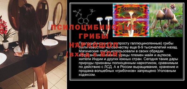 apvp Аркадак