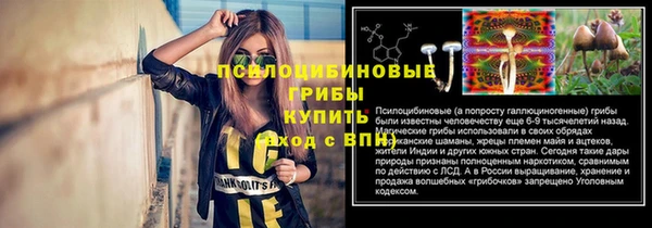 apvp Аркадак